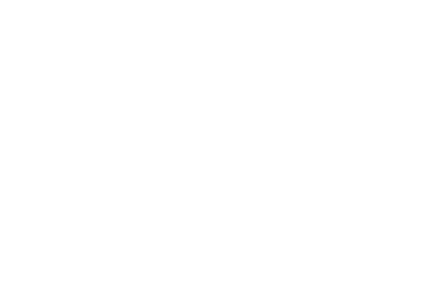 Digi Consulting Group